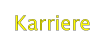 Karriere